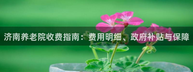 韦德2016