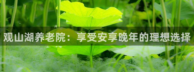 1946韦德游戏