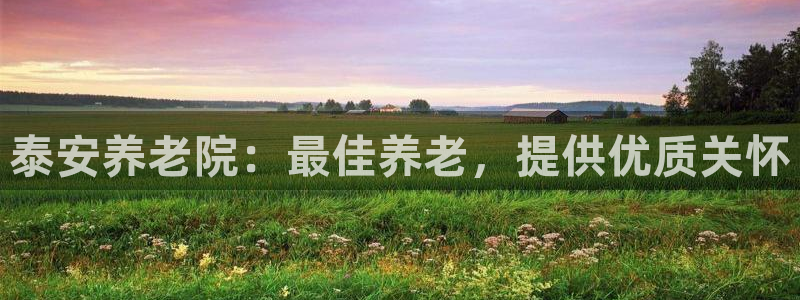 韦德1946手机网址