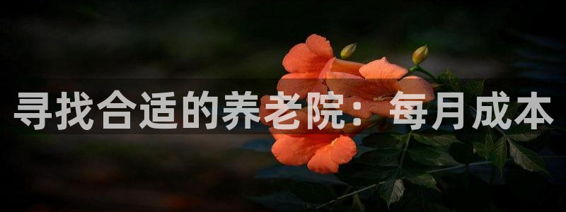 韦德网址