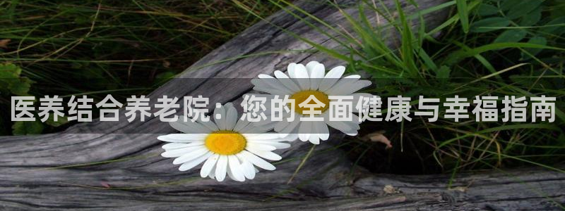 韦德1946体育
