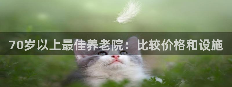 韦德1946源自英国