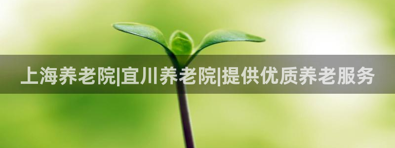 韦德官方网址