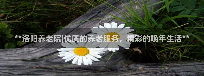 韦德1946官网