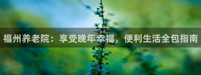 韦德8月22日开启中国行
