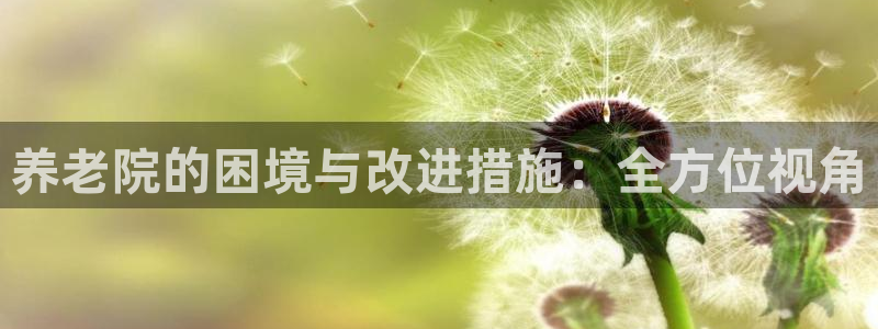 韦德游戏是什么