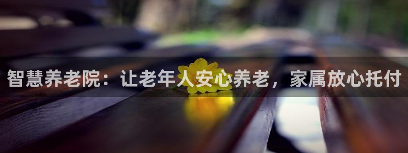 韦德bietview官网