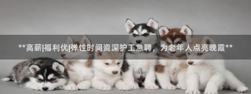 韦德国际体育