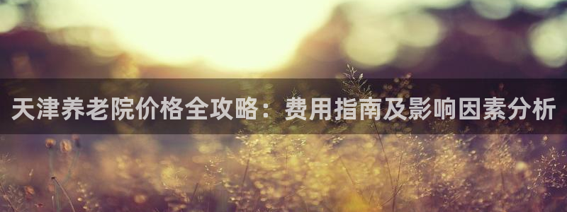 韦德观战总决赛G3