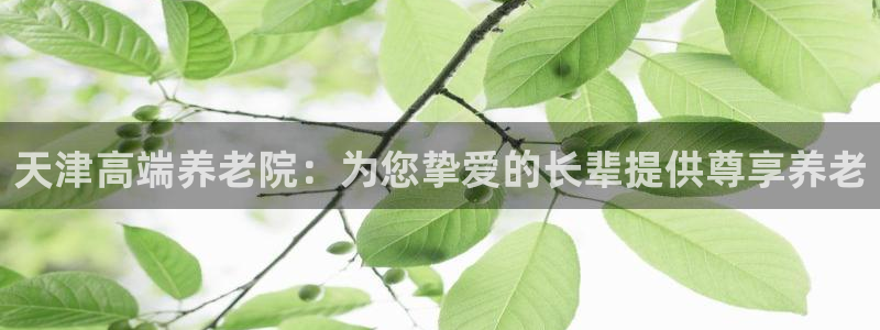 韦德1946源自英国