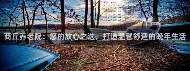 韦德的地位