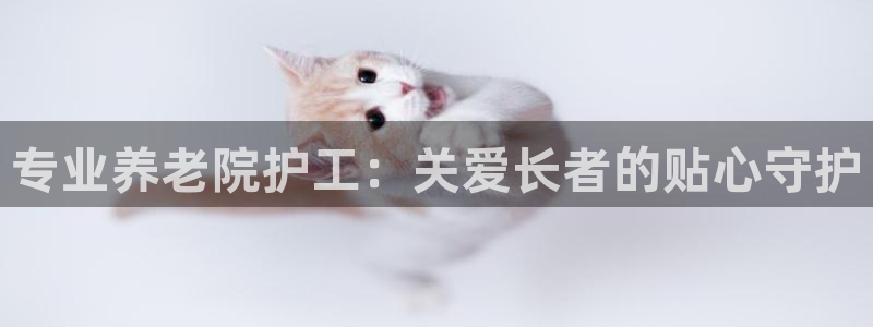 韦德游戏是什么