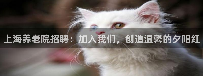 韦德1946娱乐