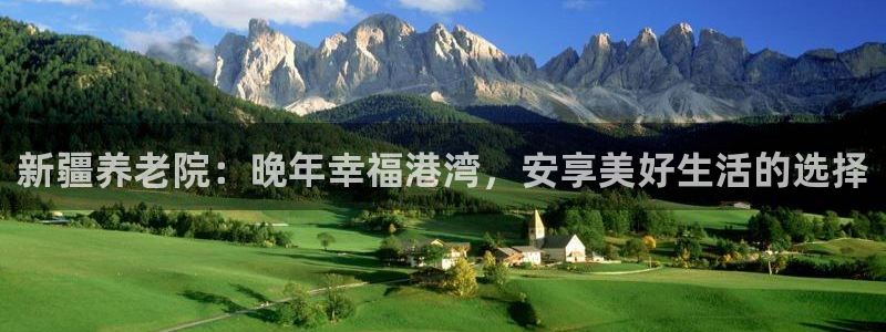 韦德游戏是什么