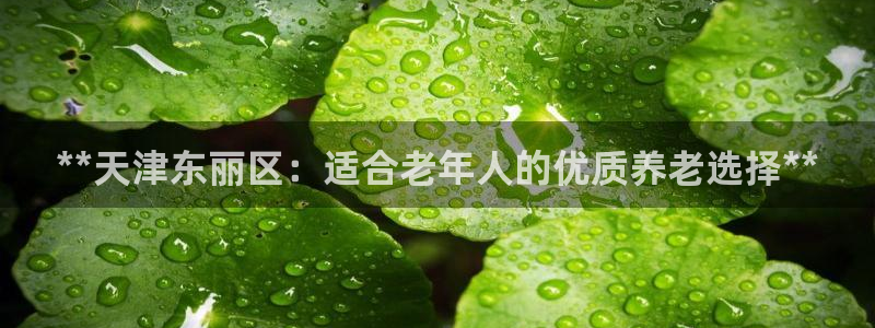 韦德国际体育