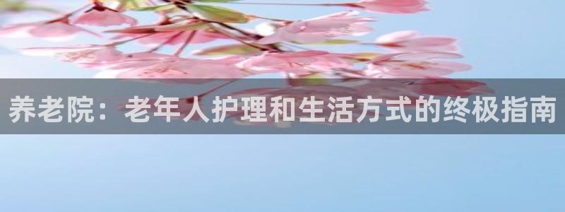 韦德游戏大厅