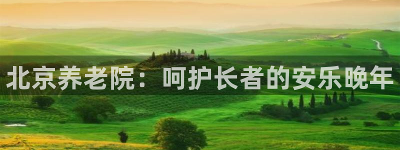韦德游戏大厅