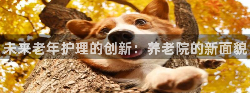 韦德1946网址