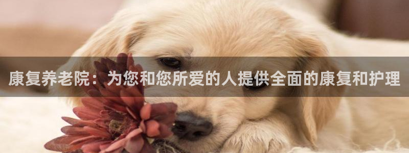 韦德下载