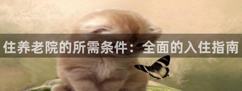 韦德新品