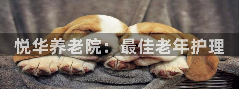 韦德官方网址大全