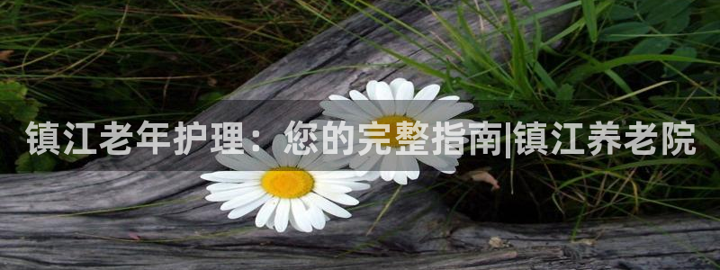韦德1567