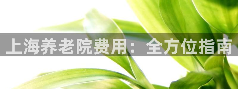韦德的地位