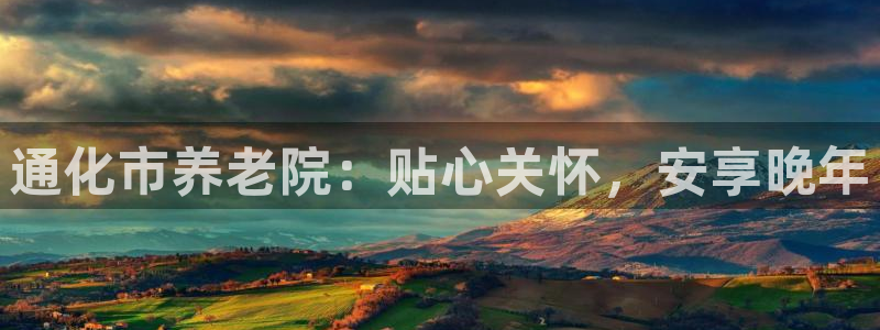 韦德 网址
