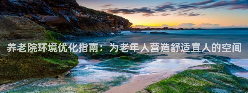 韦德1946博客