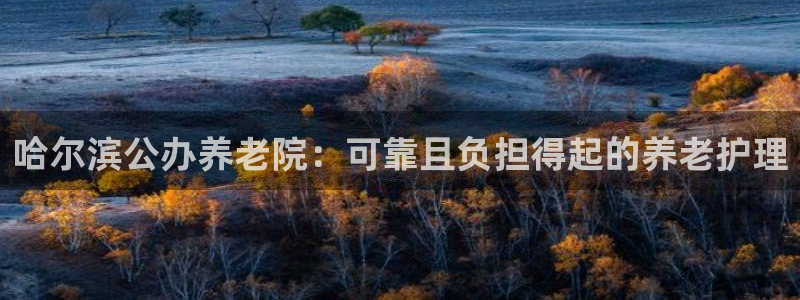 韦德网站是多少