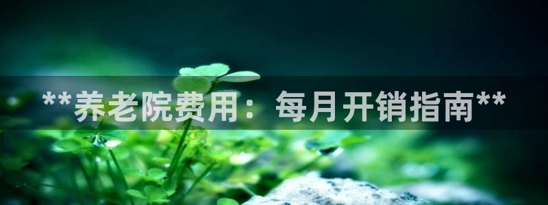 韦德bietview官网