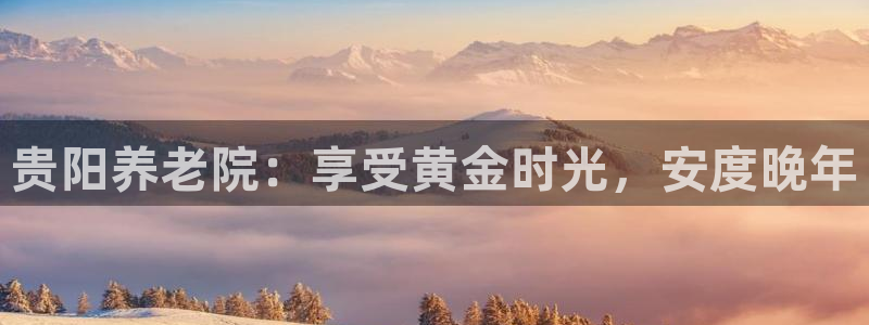 韦德2014