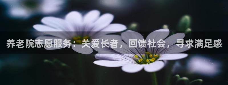 韦德下载