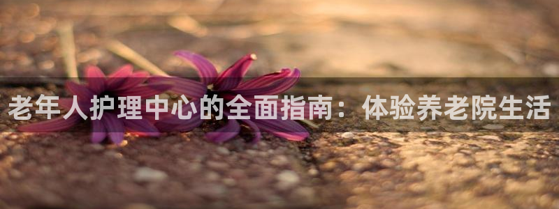 韦德游戏大厅
