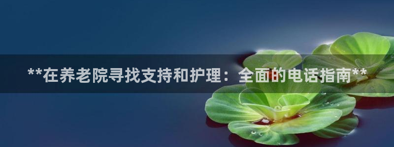 韦德1946中文官网