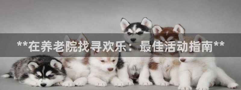韦德1946中文官网
