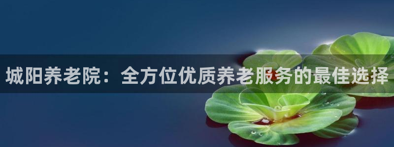 韦德1946国际娱乐