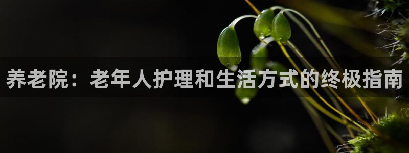 韦德1946下载