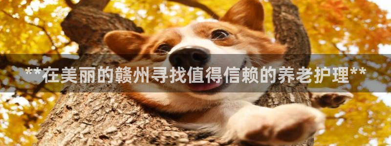 韦德1946下载