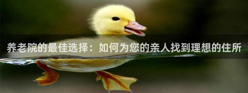 1946韦德网站