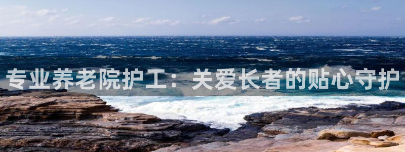 韦德2016