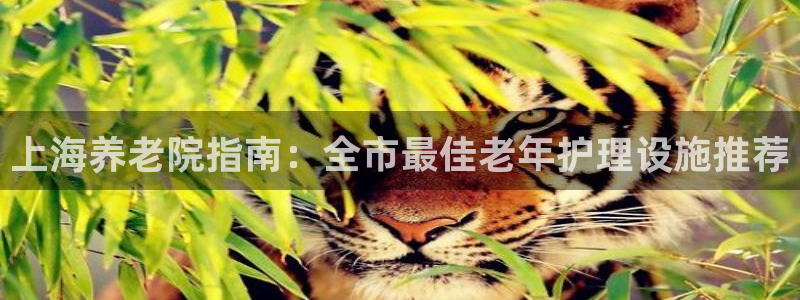 韦德1946娱乐手机版