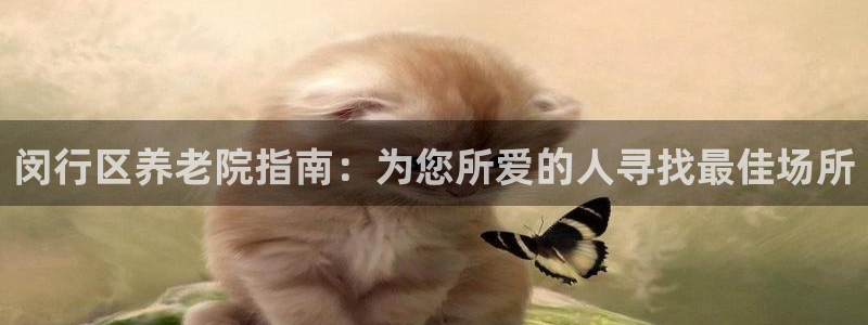 韦德游戏是什么