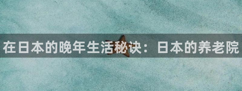 韦德1946博客