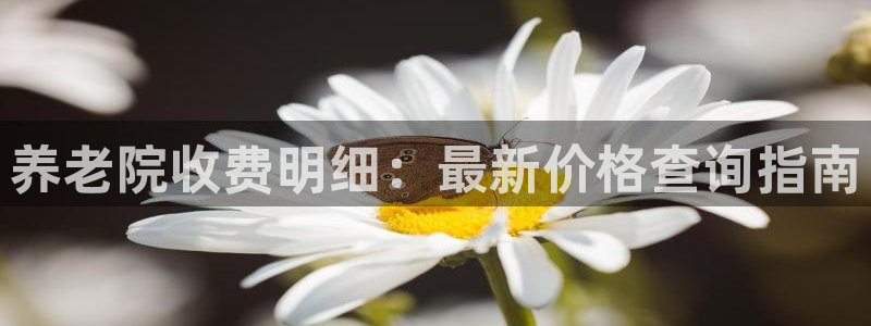 韦德com