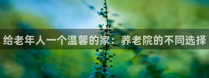 韦德 1946