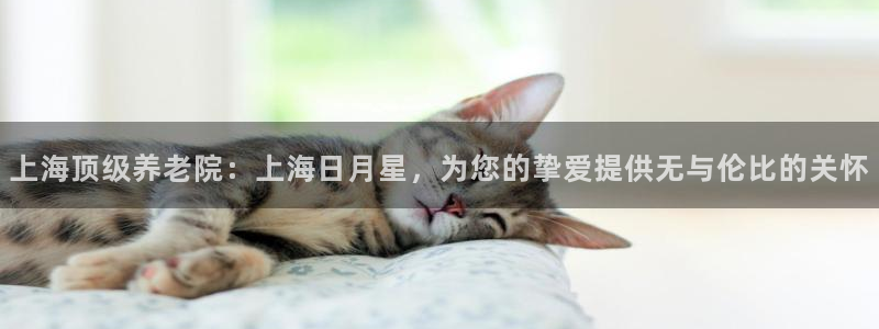 韦德下载