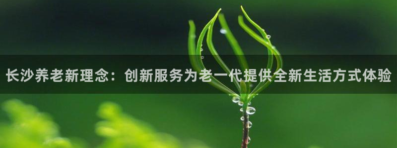 韦德国际体育