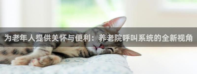 韦德游戏网址