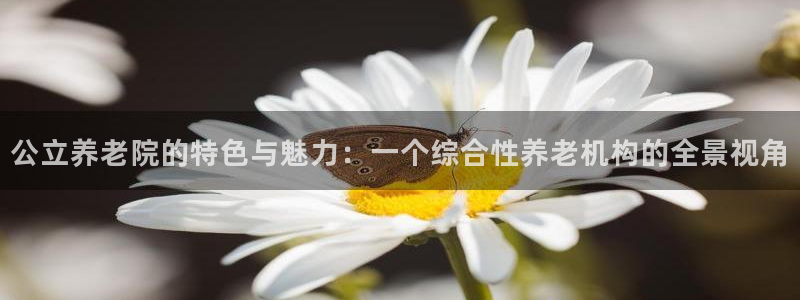 韦德国际1946官网